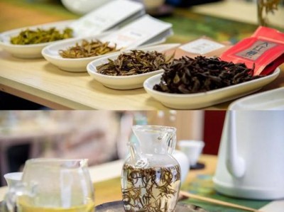 武汉品茶活动引关注,多维度剖析其体验值不值一试?
