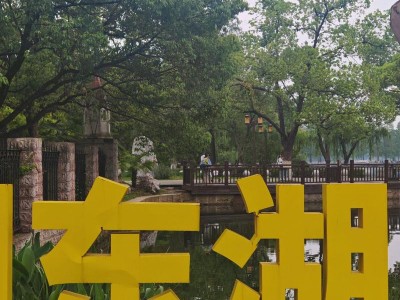 武汉品茶好去处:黄鹤楼茶社与东湖听涛轩等你来探索