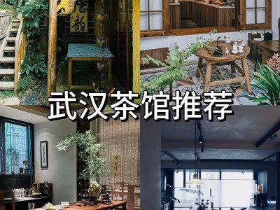 武汉品茶好去处推荐:武昌棋院茶社与翠源茶阁的优质服务体验
