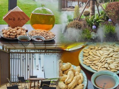 武汉品茶水有多深？本地老江湖亲述避坑真实经历