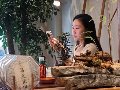 武汉品茶好去处?资深茶客小陈的寻茶经历与真实分享