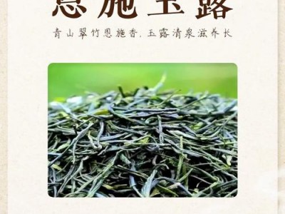 探寻武汉茶舍:品醇厚古风,赏恩施玉露,共赴独特品茶之旅