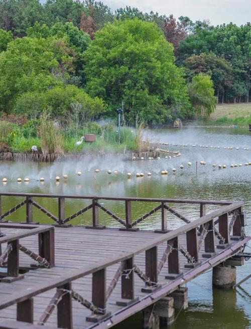 武汉休闲怎么样_武汉休闲店介绍_武汉休闲屋