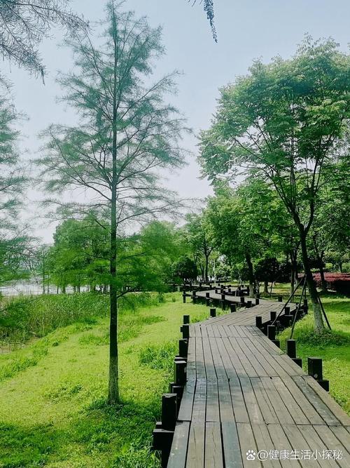 休闲一方武汉有什么服务_武汉如何找特色服务_武汉哪里有服务好的休闲